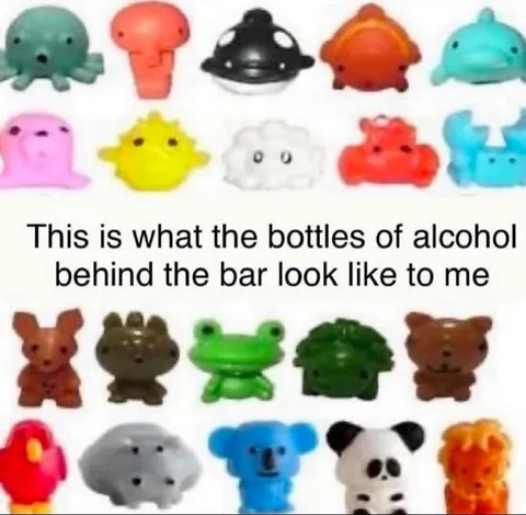Alcohol Bottles Behind the Bar