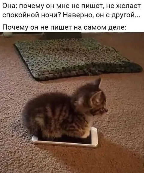 Почему он не пишет