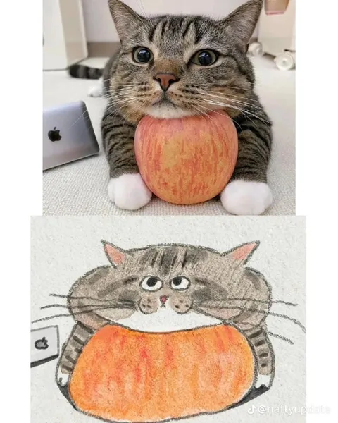 Кот с яблоком и его рисунок