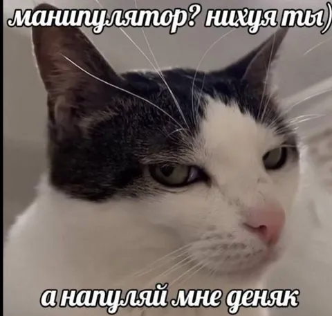 Манипулятор просит денег