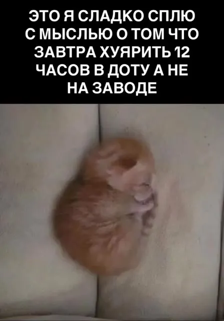 Сладко сплю перед 12 часами в Доту