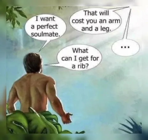 Perfect Soulmate Costs a Rib