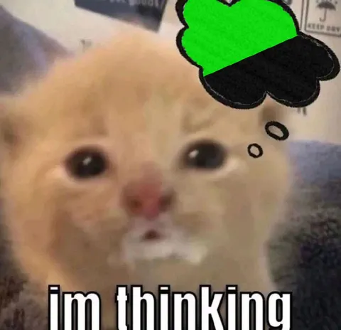 Kitten Thinking Hard
