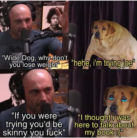 Wide Dog Talks About His Book