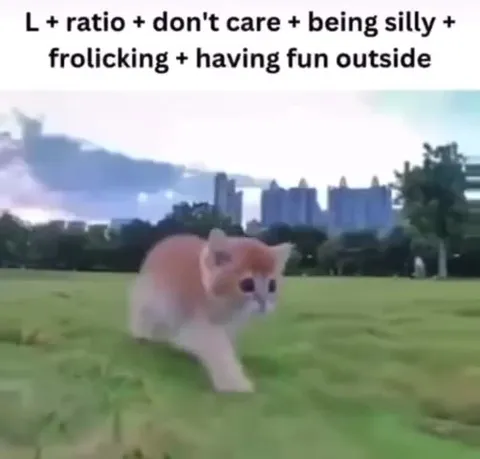 Kitten Frolicking Outside