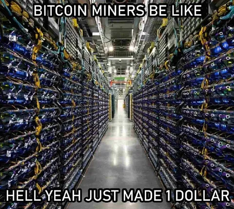 Bitcoin Miners Made One Dollar