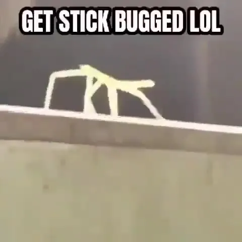 Get Stick Bugged LOL