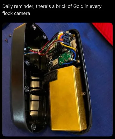 Gold Brick Inside Every Flock Camera