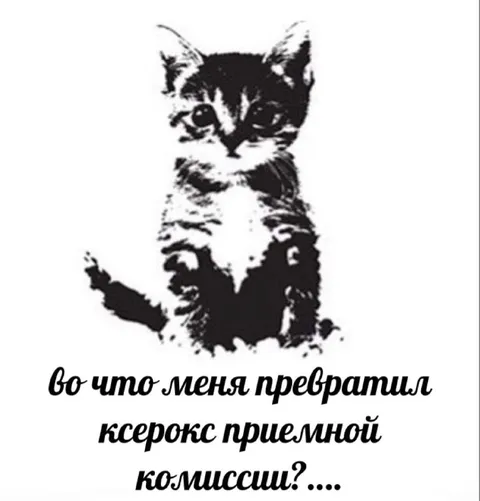 Ксерокс превратил котёнка