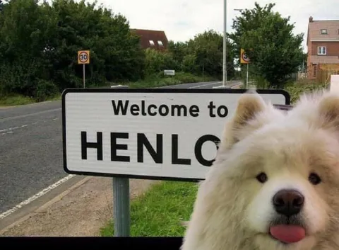 Dog Says Henlo