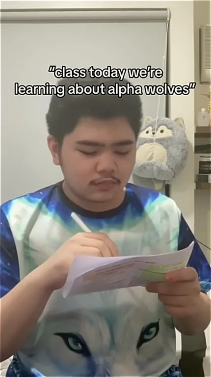 Alpha Wolves Run the City