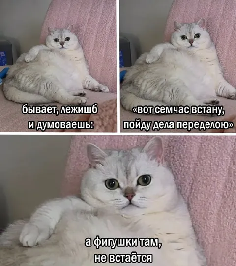 Вот сейчас встану и дела переделаю