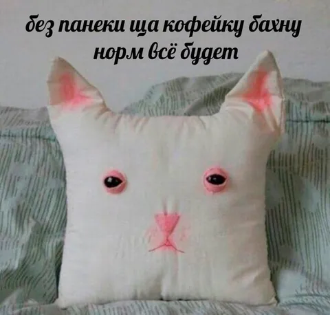 Котяча подушка після кави