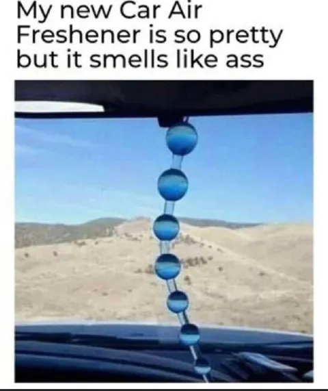 Pretty Car Air Freshener Smells Like Ass