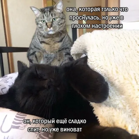 Проснулась и уже злится