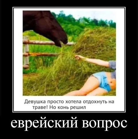 Конь решил еврейский вопрос