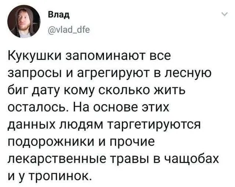 Лесная биг дата кукушек
