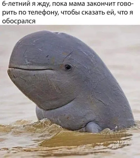 Шесть лет жду маму