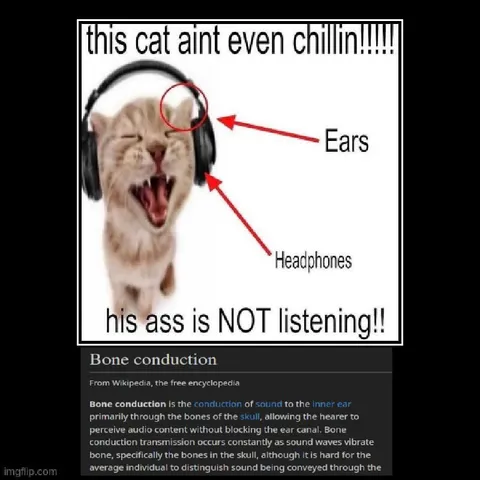 This Cat Ain't Even Chillin
