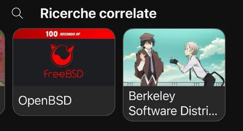 OpenBSD and Berkeley Software Distribution