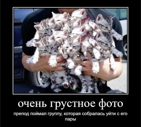Очень грустное фото про группу