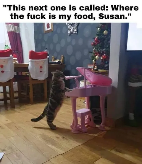 Cat Demands Food at the Piano