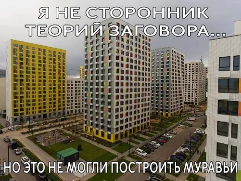 Муравьи построили жилой комплекс