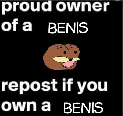 Proud Owner of a BENIS