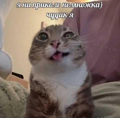 Чудик на приколе