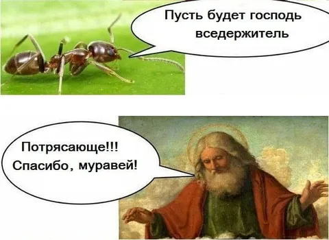 Муравей благодарит господа