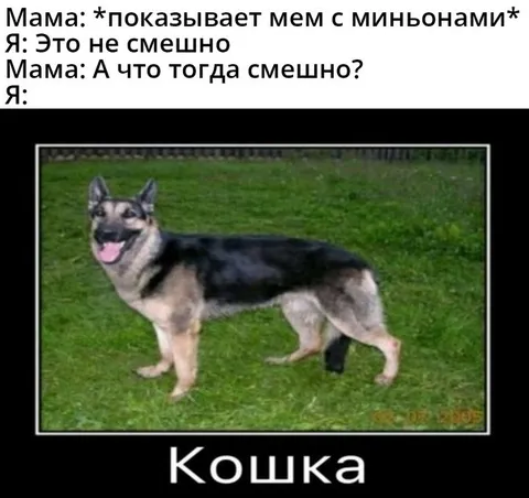 Мама показывает мем с миньонами