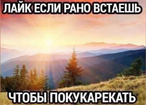 Рано встаёшь покукарекать
