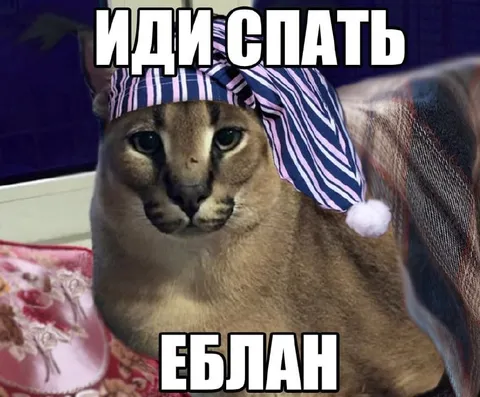 Иди спать, еблан