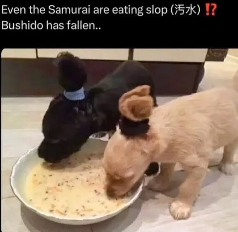 Samurai Dogs Eating Slop