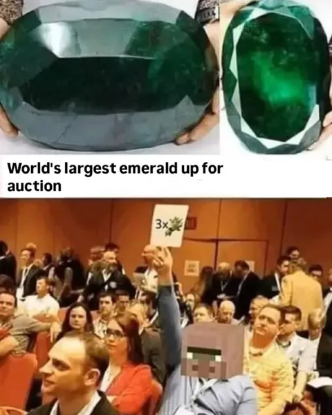 Minecraft Emerald Auction Bid