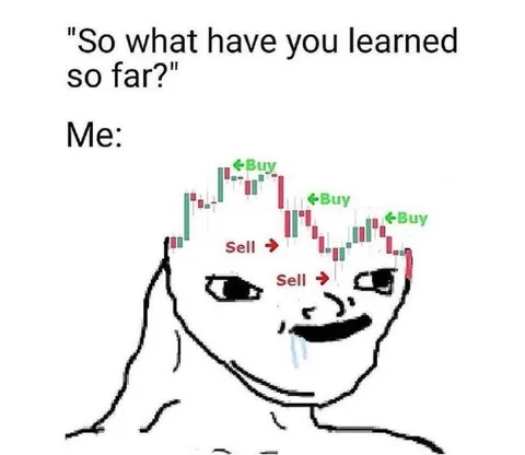 What Have You Learned So Far