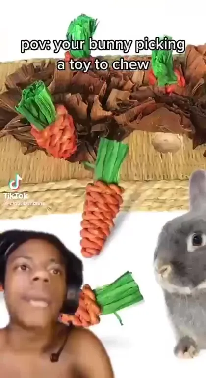 Bunny Picks the Wrong Toy