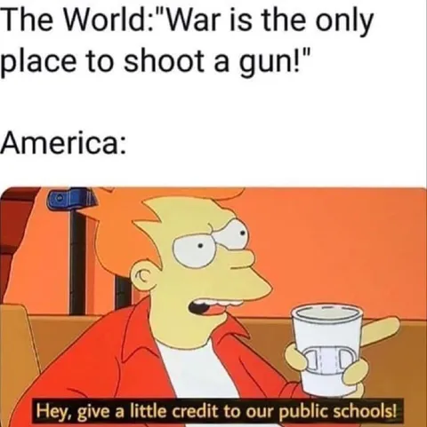 America Shoots at Public Schools