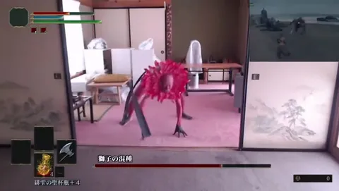 獅子の混種が踊る