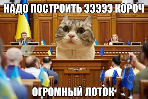 Огромный лоток в парламенте
