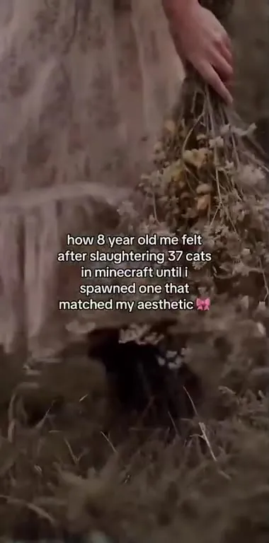 Minecraft Cat Slaughter Aesthetic