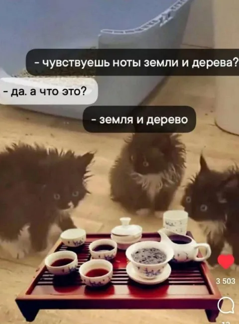 Ноты земли и дерева