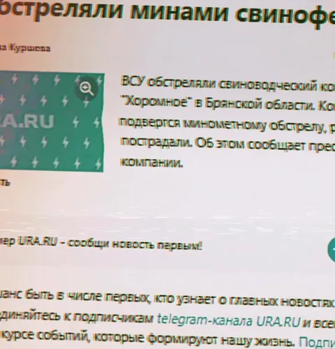 Свиноферма под миномётным огнём