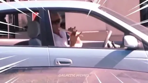 Флейтистка в машине и внезапный экшен
