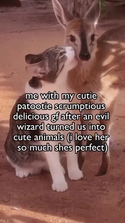 Cat and Deer Girlfriend