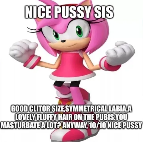 Amy Rose Crude Compliment