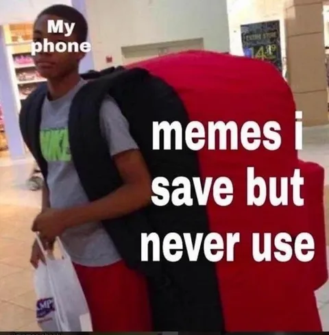Memes I Save But Never Use