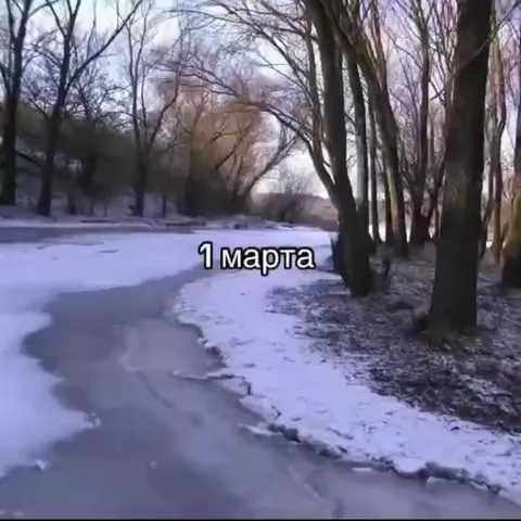 Год пролетел за секунды