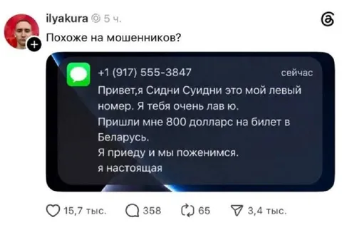 Сидни Суидни и 800 долларов