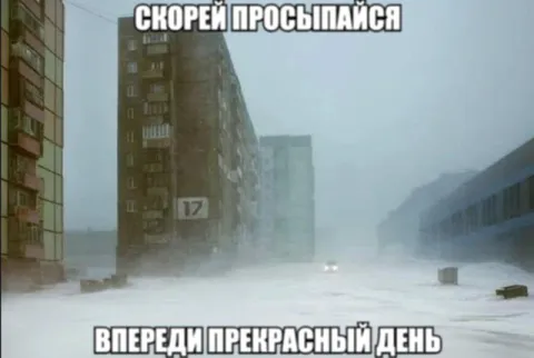 Скорей просыпайся, впереди прекрасный день